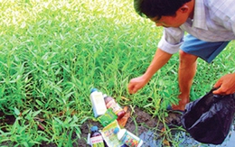 13 triệu tấn rác "bao vây" khu vực nông thôn