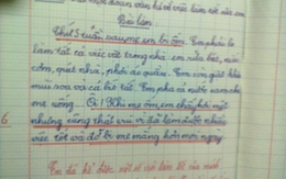 Những câu văn “thảm họa”: Tư duy cằn cỗi từ cách dạy?
