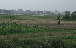 Chính quyền sai, dân chịu thiệt