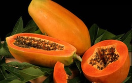 Tiếp năng lượng cho não bộ