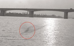 Dùng photoshop bịa ra quái vật sông Hồng