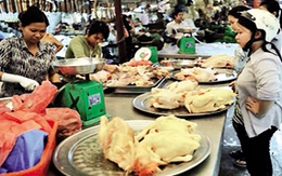 Ứng phó với thực phẩm "bẩn" (3): Để là người tiêu dùng thông thái