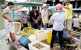 Nguy cơ người dân vỡ nợ, trắng tay