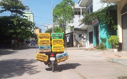 Gà lậu ở Móng Cái, Quảng Ninh (2): Giấy thông hành của gà