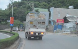 Lần theo cung đường buôn gà thải 