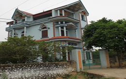 Đau lòng con giết mẹ vì tiền