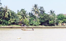 Nghề gõ cá trên sông Hoài