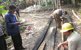 Ngày ngủ, đêm thức canh chuồng trâu