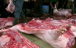 Chủ trương đóng cửa các lò mổ ở nội thành Hà Nội: Chuyển ô nhiễm về quê