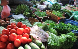 Lo ngại thực phẩm biến đổi gien