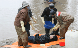 Sập giàn giáo cầu, 3 người tử nạn