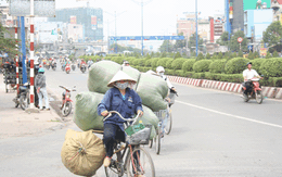 Không tiền, Tết đến làm chi?