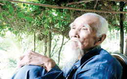 Rắn nặng nửa tấn, dài 20m!!!