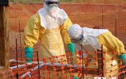 Thủ tướng chỉ đạo thực hiện mọi biện pháp ngăn dịch Ebola