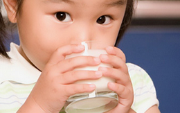Lại lo với sữa nhiễm độc