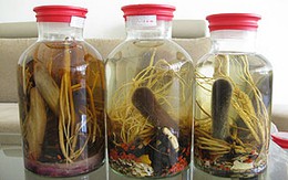 Nhập viện khẩn vì tình và rượu
