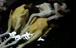 Bộ Y tế hướng dẫn cách chọn từng món tránh độc