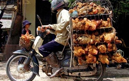 Cái lồng gắn tem