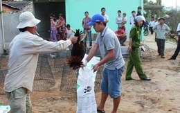 Tổ trưởng dí súng vào vào đầu dân: Tha hóa hay lạm quyền?