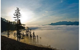 Muốn hương toả xa, cũng cần có gió