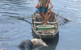 Kinh hoàng xác hai mẹ con trôi sông 