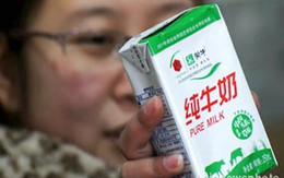 Trung Quốc phát hiện sữa chứa chất gây ung thư
