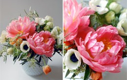 Bí quyết cắm hoa ngày Tết 