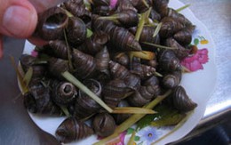 Mẹo luộc ốc ngon