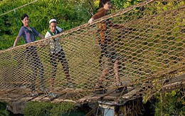 Nhiễm bệnh lạ trong tour du lịch VIP