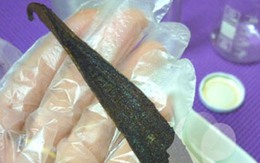 Mẹo tự làm vanilla tại nhà