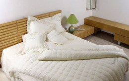 Tẩy vết ố trên nệm