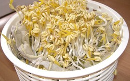 Cách làm giá đỗ an toàn tại nhà