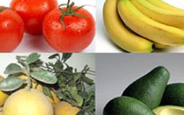 Mẹo giữ cho quả được tươi lâu