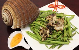 Những món ngon từ ốc giấm