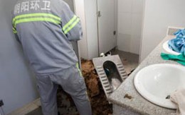 Đẻ rơi, xả nước cuốn trôi con xuống bồn cầu 