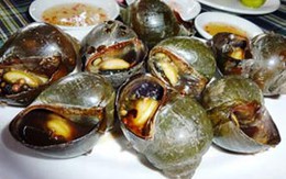 Các món ốc ngon cho dân sành ăn vặt