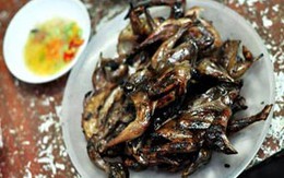 Chim nướng phố Tạ Hiện ngon và rẻ