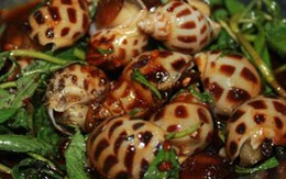 Khó cưỡng với 4 món ốc hương thơm ngon