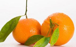 Khử mùi hôi tủ lạnh bằng vỏ quýt