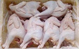 Cách nào giúp tránh mua nhầm gà thải?