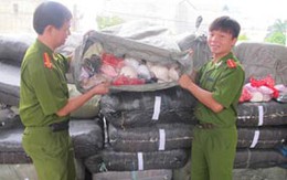 Hà Nội: Phá đường dây tiêu thụ áo lót lậu cực lớn