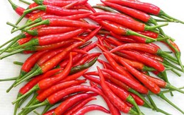 Ăn cay giúp đàn ông mạnh mẽ "chuyện ấy"