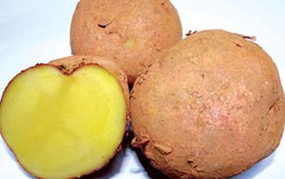 Cách giữ vitamin C cho rau quả