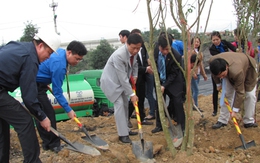 Năm nay, sản xuất 43 triệu tấn than