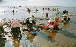 Huyện Châu Thành, Trà Vinh: Kết quả thực hiện Đề án 52 năm 2012