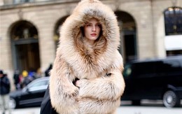 Đi làm, đi tiệc đẹp sang trọng với áo khoác lông