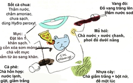 Mẹo hay giặt sạch các vết bẩn