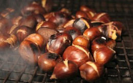 Hạt dẻ nóng ấm lòng ngày đông giá