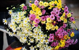 5 loại mặt nạ hoa giúp da trắng hồng tự nhiên