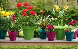 Ban công và những ý tưởng trang trí tuyệt vời